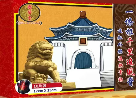 [香港手信] 一條根千里追風膏10片裝/大碼(12cm x 15cm)
